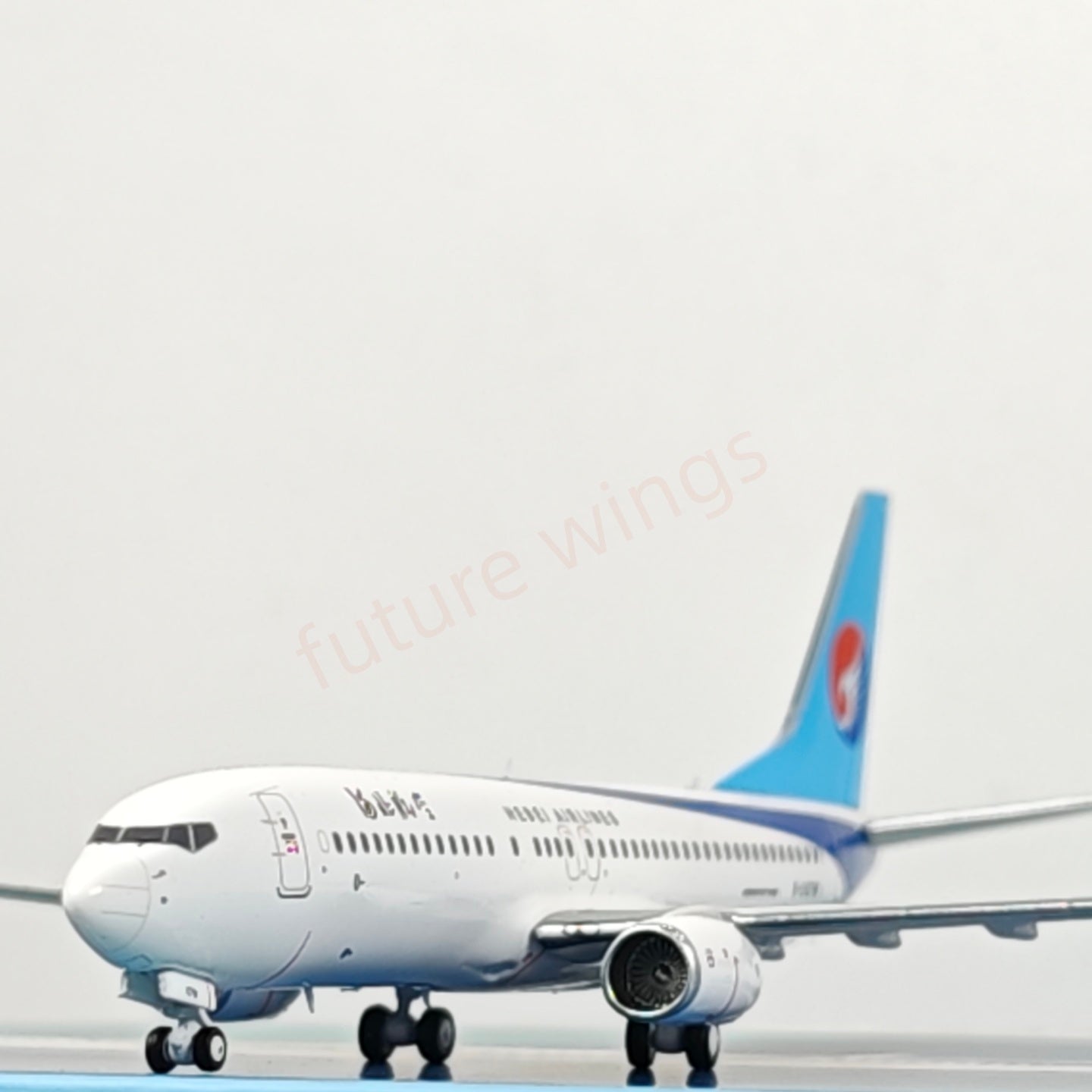 1:400 AeroPolaris Hebei Airlines B737-800 B-207W Aircraft Model+Free Tractor