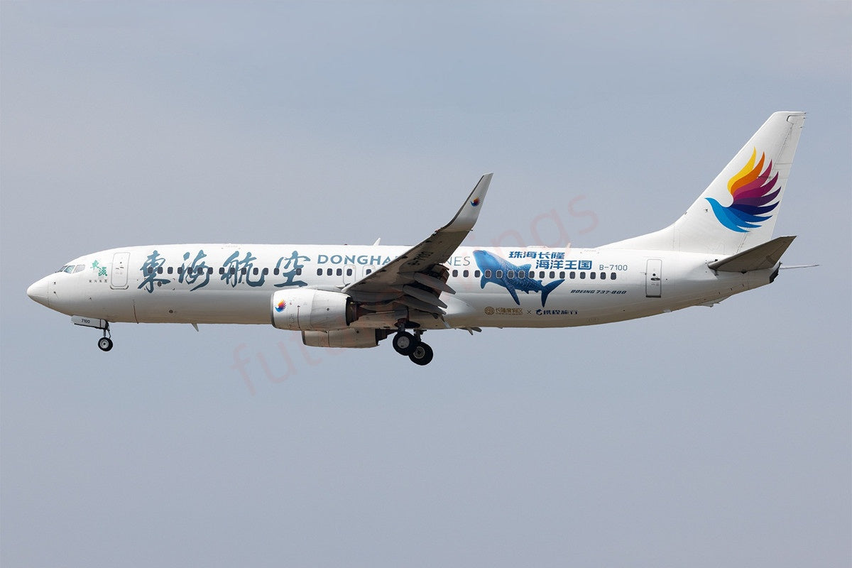 1:400 AeroPolaris DongHai Airlines B737-800 B-7100 Aircraft Model+Free Tractor