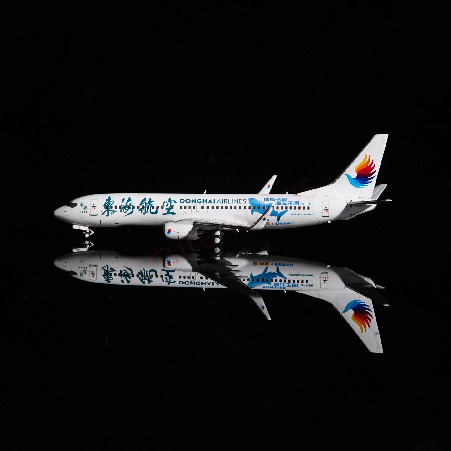 1:400 AeroPolaris DongHai Airlines B737-800 B-7100 Aircraft Model+Free Tractor