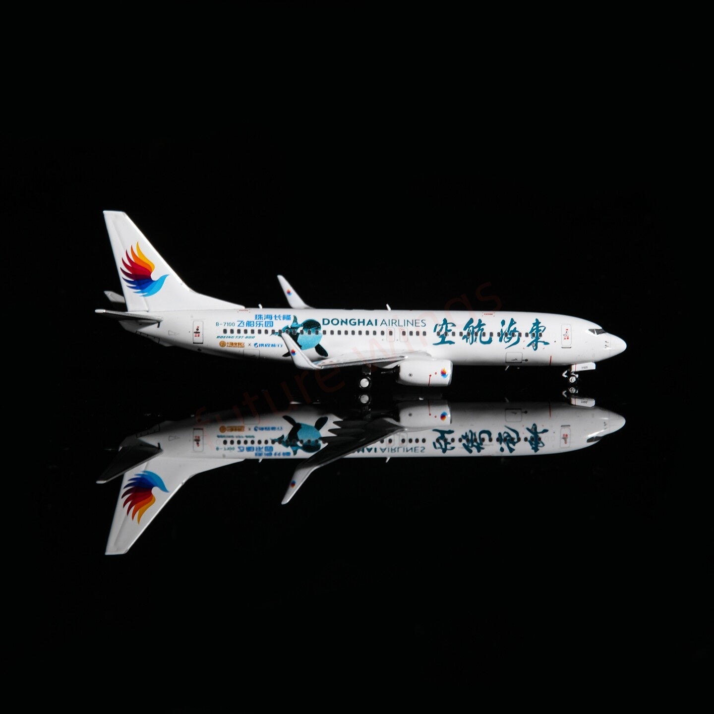 1:400 AeroPolaris DongHai Airlines B737-800 B-7100 Aircraft Model+Free Tractor